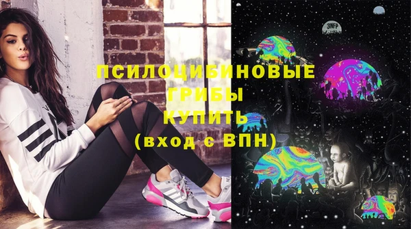 мет Дмитров