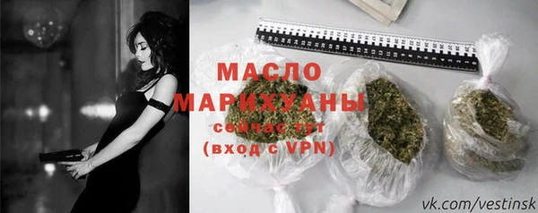 мет Дмитров