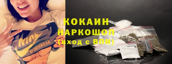 мет Дмитров
