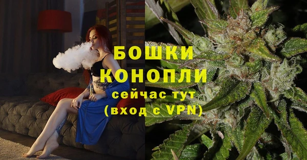 мет Дмитров