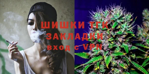 мет Дмитров