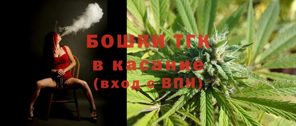 мет Дмитров