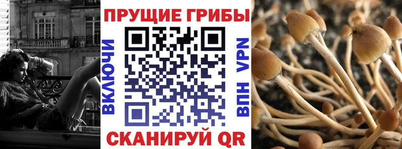 Галлюциногенные грибы Psilocybine cubensis  нарко площадка как зайти  Ялта  где купить наркоту 